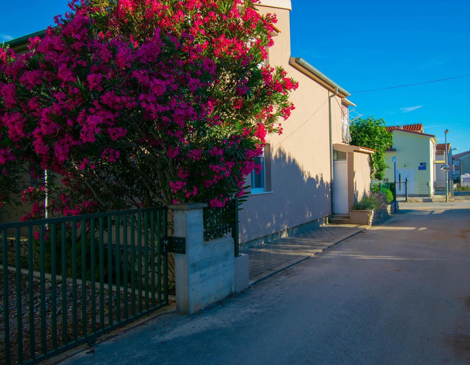 Apartments Anita Frane Vodice Eksteriør bilde
